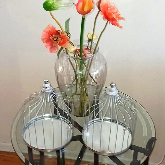 Wire Cloches - Picture 4 of 14